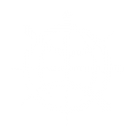 Technology Navigators logo